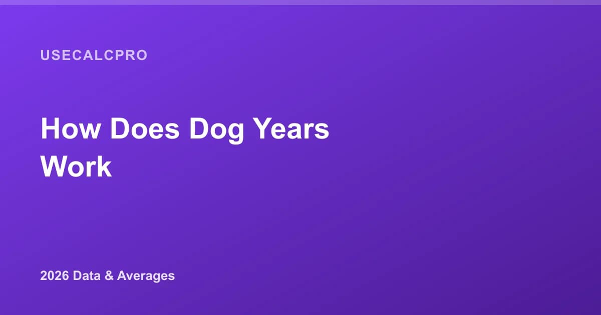 How Do Dog Years Work? The Real Math Behind Dog Years in 2026