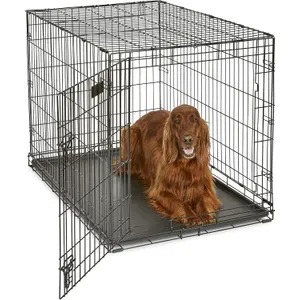 MidWest Homes for Pets 42-Inch iCrate for Large Breeds, 71-90 lbs, Single Door Folding Dog Crate with Divider Panel, Leak-Proof Tray & Secure Latch, Portable, Durable & Easy to Assemble