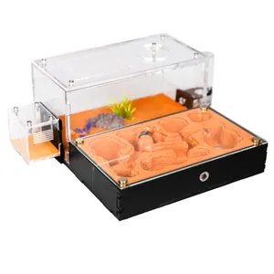 Ant Nest Formicarium for Live Ants and Queen – Extra-Large Clear Habitat for Adults