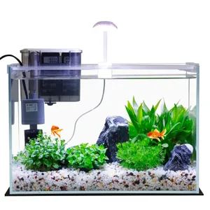 Vimvins 5 Gallon Glass Small Fish Tank with Filter Light and Lid, Betta Aquarium Starter Kits